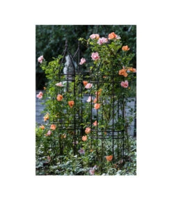 Dehner Premium Obelisk Odin -Gartenbedarf Geschäft 2480069 2480093 2480119 WE MO 006 DehnerPremiumObeliskOdinRankhilfe