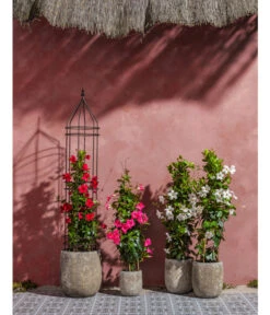 Dehner Premium Obelisk Odin -Gartenbedarf Geschäft 2480069 2480093 2480119 WE MO 007 DehnerPremiumObeliskOdin