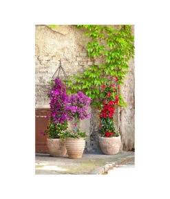 Dehner Premium Obelisk Odin -Gartenbedarf Geschäft 2481976 2481596 2481927 WE MO 001 DehnerHalbobelisk