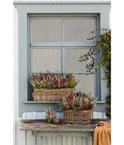 Van Der Leeden Rattan-Pflanzkasten, Graubraun -Gartenbedarf Geschäft 3692761 3692548 3692506 WE MO 014 RattanPflanzkastenbraun