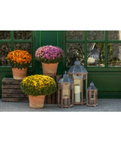 Spang Terrakotta-Topf Toscana, Rund 11 Spang Terrakotta-Topf Toscana, Rund -Gartenbedarf Geschäft 3697612 WE MO 003 TerrakottaTopfToscana