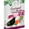 Dehner Natura Premium Wildvogelfutter Gourmet Blocks Mit Vogelbeeren