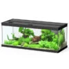 Dehner Aqua Premium Aquarium-Set ProLine 100, Schwarz, 160 L, Ca. B100/H40/T40 Cm -Gartenbedarf Geschäft 4277224 WE FS 001 DehneAquaPremiumProLine100