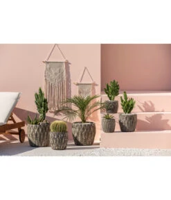 Feigenkaktus - Opuntia Consolea 9 Feigenkaktus - Opuntia Consolea -Gartenbedarf Geschäft 4432415 PR MO 001 KeramikTopfNero