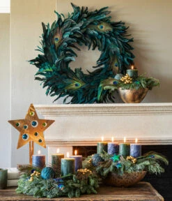 Gartenbedarf Geschäft -Gartenbedarf Geschäft 6424469 6424477 6424493 6031983 WE MO 001 PeacockAdvent2022