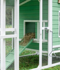 Dehner Hühnerstall Happy Farm Lotti, Hellgrün, Ca. B182/H119,5/T91 Cm -Gartenbedarf Geschäft 6897052 WE DE 001 DehnerMarkenqualitaetHuehnerstallLotti