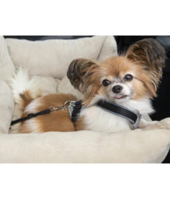 Dehner Lieblinge Reisebett Dream Team, Beige, Ca. B54/H34/T50 Cm -Gartenbedarf Geschäft 6909790 WE MO 003 DehnerLieblingeTransportsofa