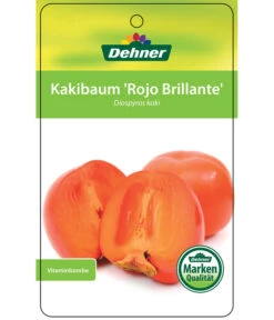 Dehner Kaki 'Rojo Brillante' - Kaki-Pflaume 'Rojo Brillante' -Gartenbedarf Geschäft 7167414 KakiRojoBrillante Etikett 01