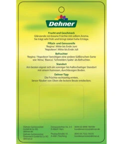 Kirschen-Duo 'Regina/Napoleon' 13 Kirschen-Duo 'Regina/Napoleon' -Gartenbedarf Geschäft 7738792 Suesskirschen DuoReginaNapoleon Etikett 2