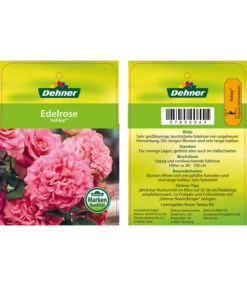 Edelrosen-Mix 'Nostalgie®' 28 Edelrosen-Mix 'Nostalgie®' -Gartenbedarf Geschäft 7800063 AshleyEdelrose Etikett1