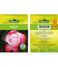 Edelrosen-Mix 'Nostalgie®' 33 Edelrosen-Mix 'Nostalgie®' -Gartenbedarf Geschäft 7800063 NostalgieEdelrose Etikett1