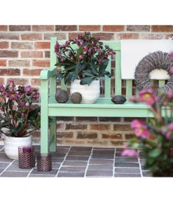 Schneerose 'Ice N' Roses® Red' - Helleborus Gold Collection® 9 Schneerose 'Ice N' Roses® Red' - Helleborus Gold Collection® -Gartenbedarf Geschäft 8010969 WE MO 001 HelleborusWeinrotDehnerExpressHerzig