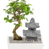 Bonsai Mit Buddha/Pagode, Verschiedene Sorten 2 Bonsai Mit Buddha/Pagode, Verschiedene Sorten -Gartenbedarf Geschäft 8686669 PR FS 001 BonsaiMixMitBuddhaPagodeT18DehnerExpressHerzig