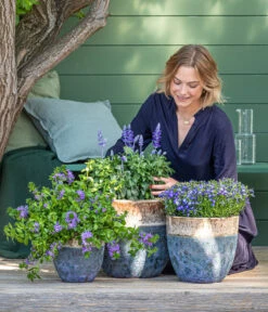 Dehner Keramik-Topf Mystras, Rund, Blau-braun 10 Dehner Keramik-Topf Mystras, Rund, Blau-braun -Gartenbedarf Geschäft 8811143 WE MO 001 BlaueMauritius