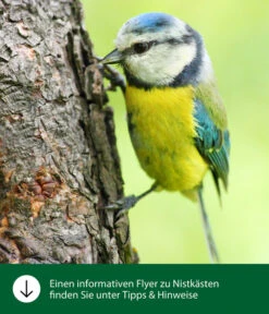 Dehner Natura Nistkasten CLiCK, Ca. B17/H22,5/T12 Cm -Gartenbedarf Geschäft WE IG FlyergrafikDehnerNaturaNistkaesten